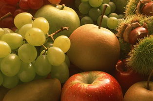 水果食品果园收获的水果果实累累图图片素材 模板下载 2.40MB 其他大全 标志丨符号